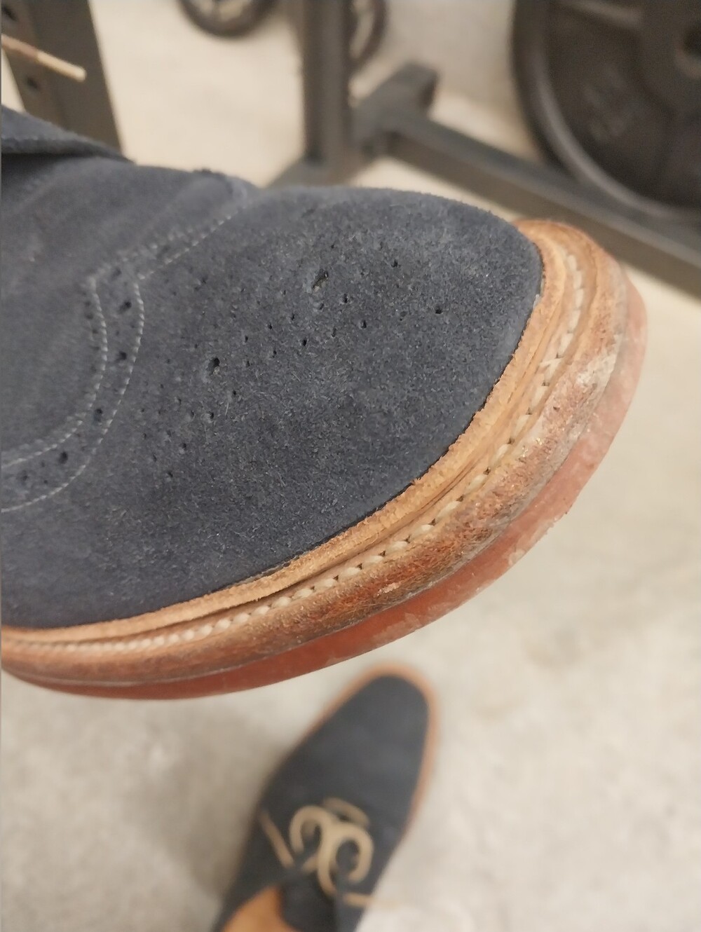 Blue Suede Shoes - Picture 10 of 10